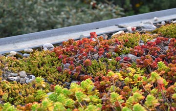 the cost of Cowan Bridge green roof installation